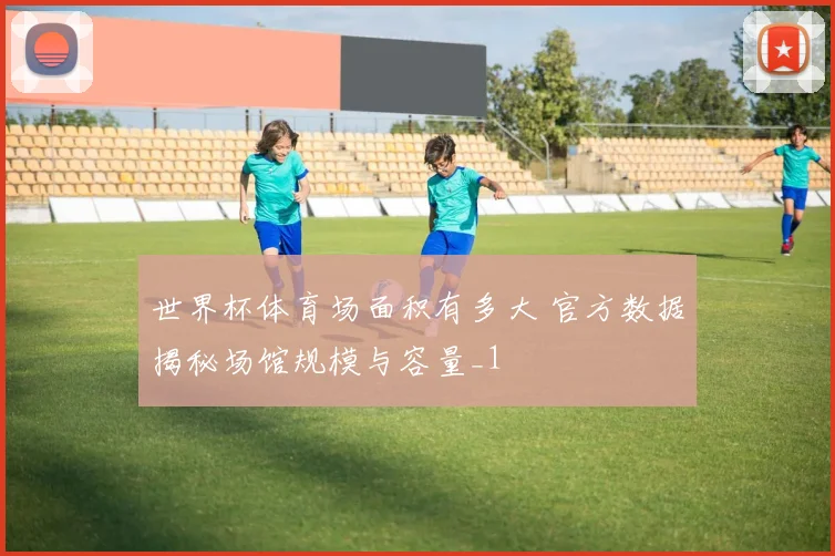 世界杯体育场面积有多大 官方数据揭秘场馆规模与容量_1