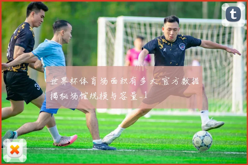 世界杯体育场面积有多大 官方数据揭秘场馆规模与容量_1