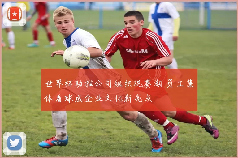 世界杯助推公司组织观赛潮 员工集体看球成企业文化新亮点