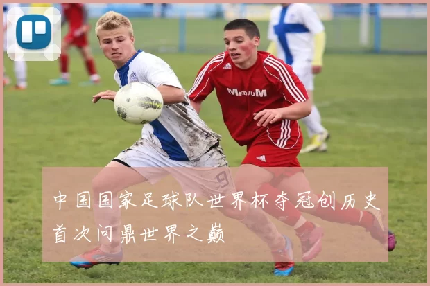 中国国家足球队世界杯夺冠创历史首次问鼎世界之巅